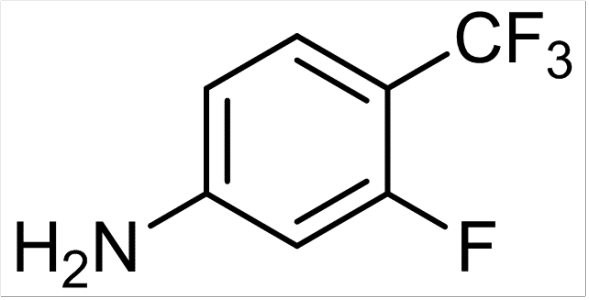 ʽױƳ65ŷġ°嵥