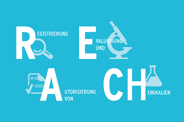йREACH61ʵ