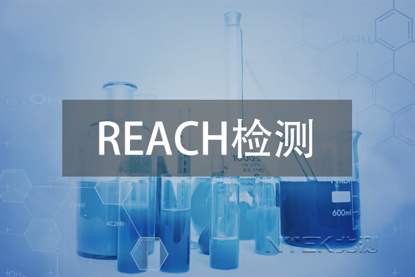 ŷ˽ǿڲƷREACHִܿ